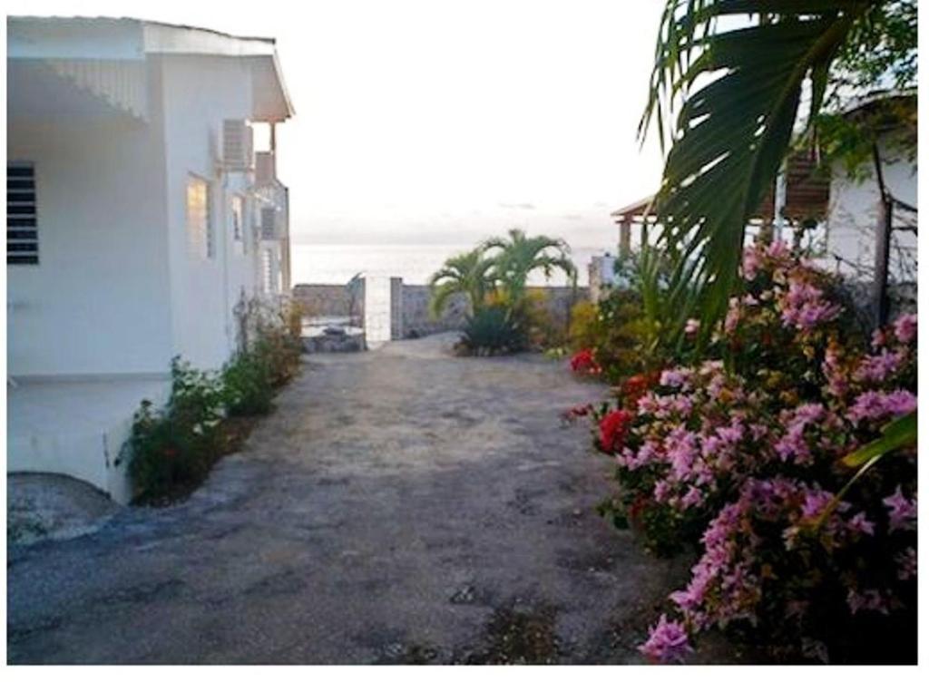 Dolphin Hearthouse Villa Lagun ห้อง รูปภาพ